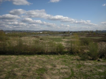 Wetlands Management Program